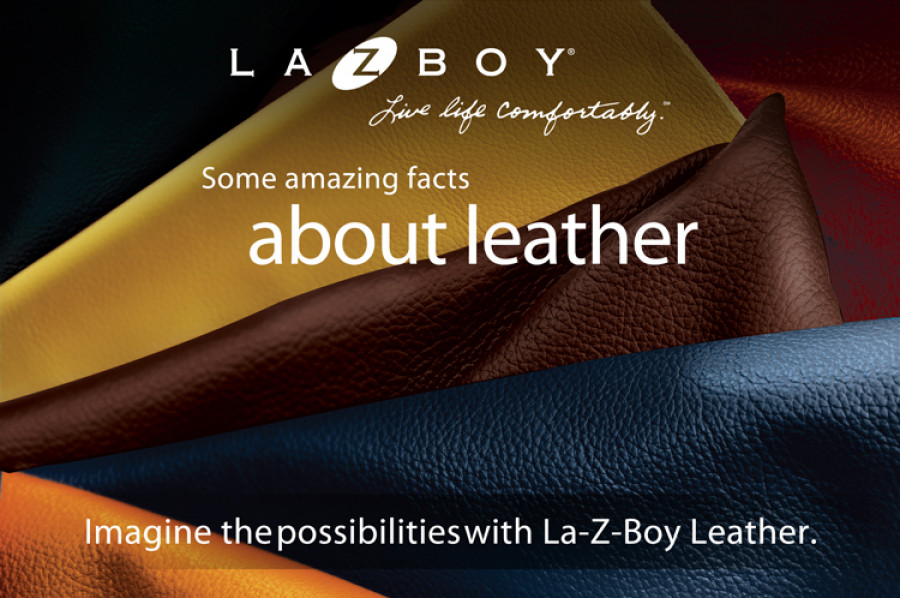 La-Z-Boy Leather